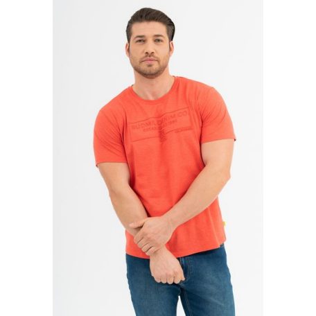Budmil férfi Póló-regular fit póló - 20300438-003