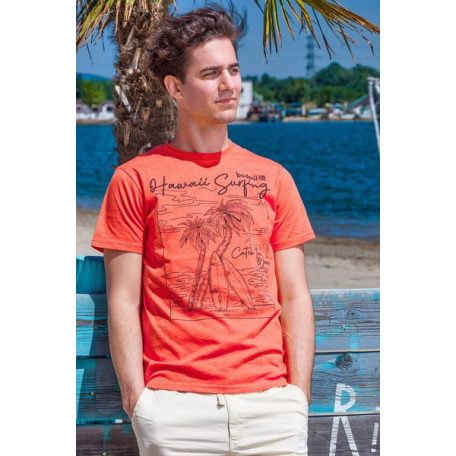 Budmil férfi Póló-modern fit póló - 20300439-003